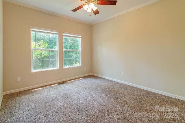 21 Luther Woods Dr, Candler, NC 28715 - photo 19