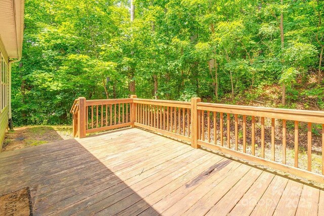 21 Luther Woods Dr, Candler, NC 28715 - photo 26