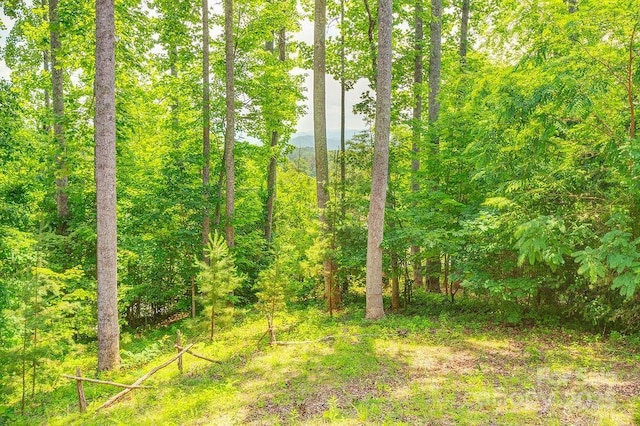 21 Luther Woods Dr, Candler, NC 28715 - photo 28