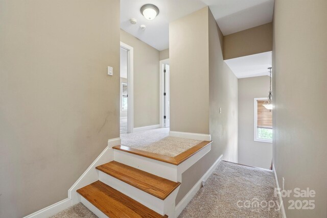 8137 Caliterra Dr, Charlotte, NC 28227 - photo 28