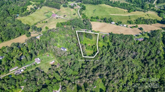 1248 Jenkins Valley Rd, Alexander, NC 28701 - photo 6