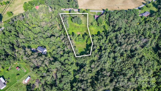 1248 Jenkins Valley Rd, Alexander, NC 28701 - photo 7