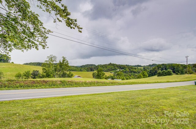 1248 Jenkins Valley Rd, Alexander, NC 28701 - photo 10