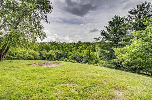 1248 Jenkins Valley Rd, Alexander, NC 28701 - photo 3