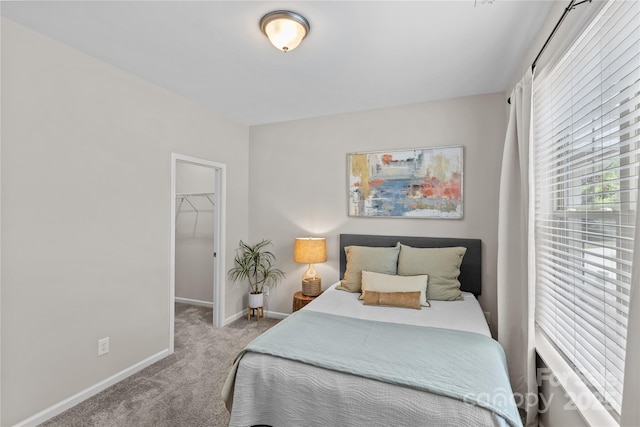 9620 Ainslie Downs St, Charlotte, NC 28273 - photo 6
