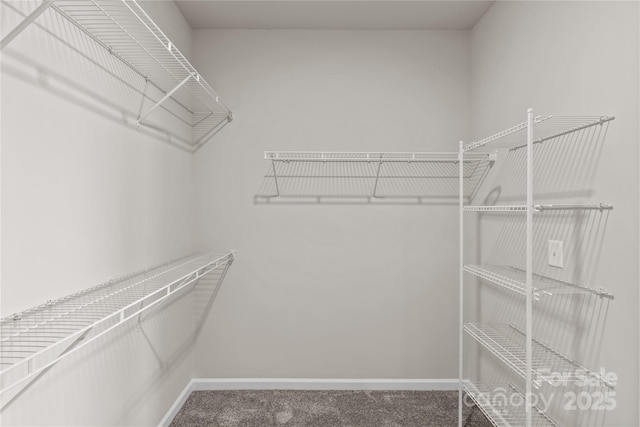 9620 Ainslie Downs St, Charlotte, NC 28273 - photo 25