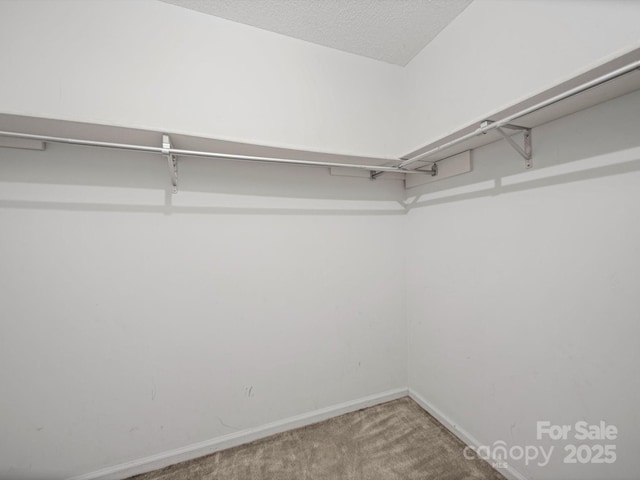 2020 Dawnshire Dr, Gastonia, NC 28054 - spacious closet with carpet