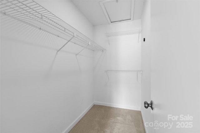 1604 Sharon Rd W Unit 30, Charlotte, NC 28210 - spacious closet with carpet flooring and attic access