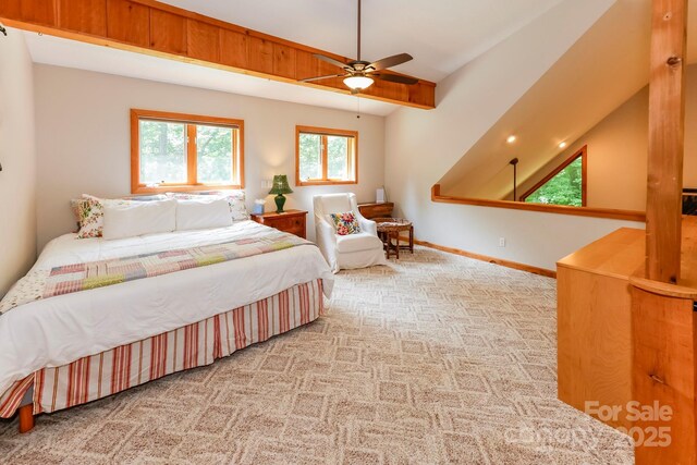 187 W Wilderness Rd, Lake Lure, NC 28746 - photo 18