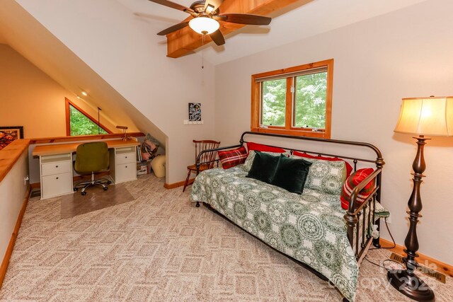 187 W Wilderness Rd, Lake Lure, NC 28746 - photo 19