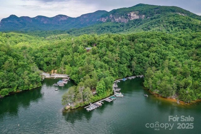187 W Wilderness Rd, Lake Lure, NC 28746 - photo 33
