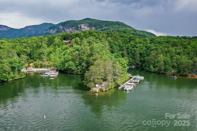 187 W Wilderness Rd, Lake Lure, NC 28746 - photo 37