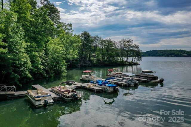 187 W Wilderness Rd, Lake Lure, NC 28746 - photo 38