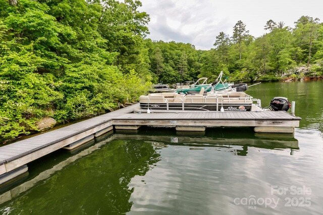 187 W Wilderness Rd, Lake Lure, NC 28746 - photo 39