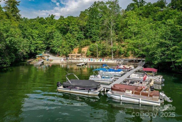 187 W Wilderness Rd, Lake Lure, NC 28746 - photo 41