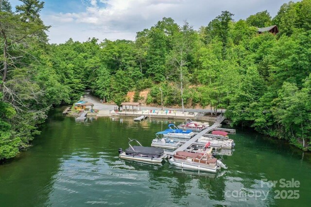 187 W Wilderness Rd, Lake Lure, NC 28746 - photo 43