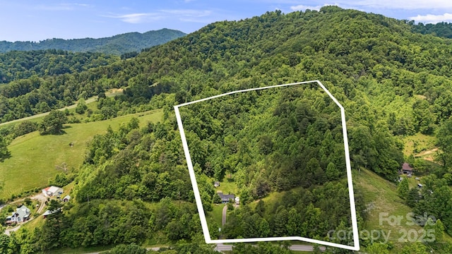 311 Flynn Br, Madison, NC 28753 - aerial view of property's location with property parcel outlined and mountains