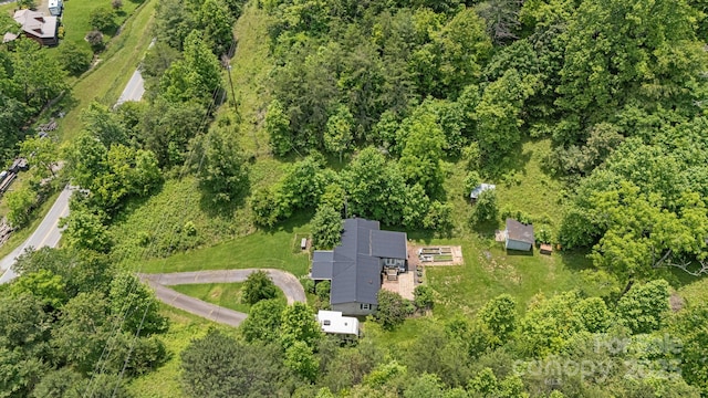 311 Flynn Br, Madison, NC 28753 - aerial view of property's location