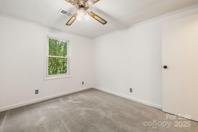 311 Flynn Br, Madison, NC 28753 - unfurnished room with crown molding, carpet floors, ceiling fan, and a textured ceiling