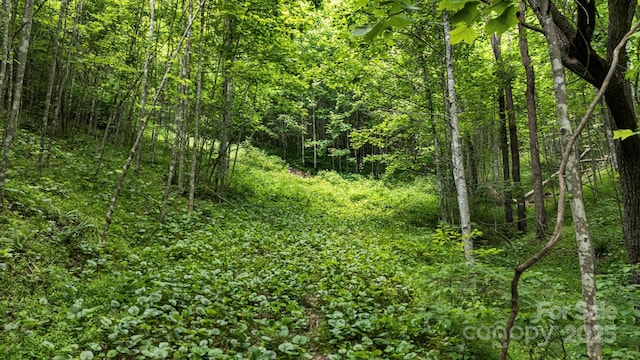 311 Flynn Br, Madison, NC 28753 - view of wooded area