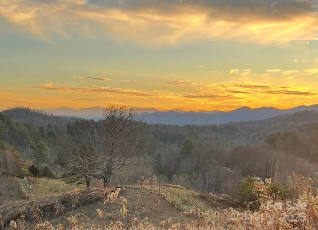 311 Flynn Br, Madison, NC 28753 - mountain view with a heavily wooded area