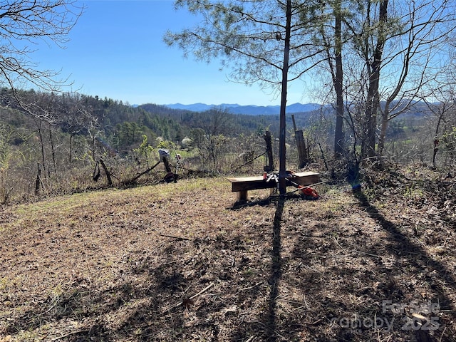 311 Flynn Br, Madison, NC 28753 - mountain view with a forest