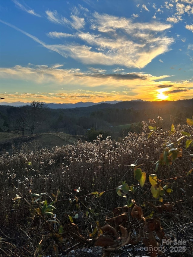 311 Flynn Br, Madison, NC 28753 - mountain view