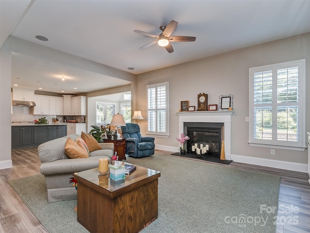 1011 Golden Bell Dr, Waxhaw, NC 28173 - living area featuring a ceiling fan, wood finished floors, and a glass covered fireplace
