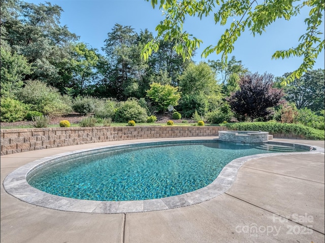 1011 Golden Bell Dr, Waxhaw, NC 28173 - view of pool featuring a pool with connected hot tub