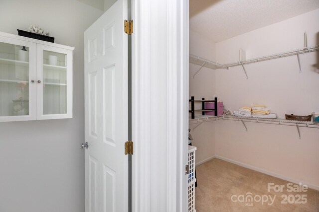 6507 Fairway Point Dr, Charlotte, NC 28269 - walk in closet with light colored carpet