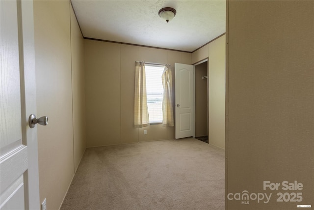 3655 Pinewood Rd, Sumter, SC 29154 - empty room featuring carpet flooring and crown molding