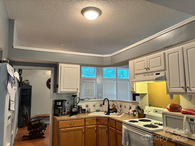 1920 Waldeck Ct, Mount Pleasant, NC 28124 - kitchen featuring white appliances, under cabinet range hood, a textured ceiling, wood finished floors, and light countertops