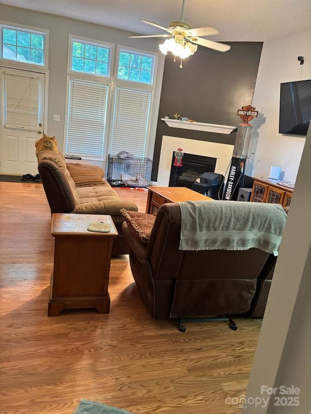 1920 Waldeck Ct, Mount Pleasant, NC 28124 - living room featuring wood finished floors, a ceiling fan, and a glass covered fireplace