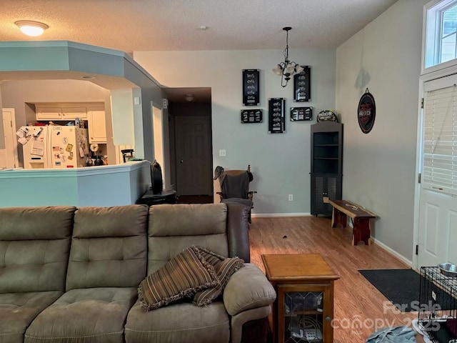 1920 Waldeck Ct, Mount Pleasant, NC 28124 - living area with wood finished floors and a textured ceiling