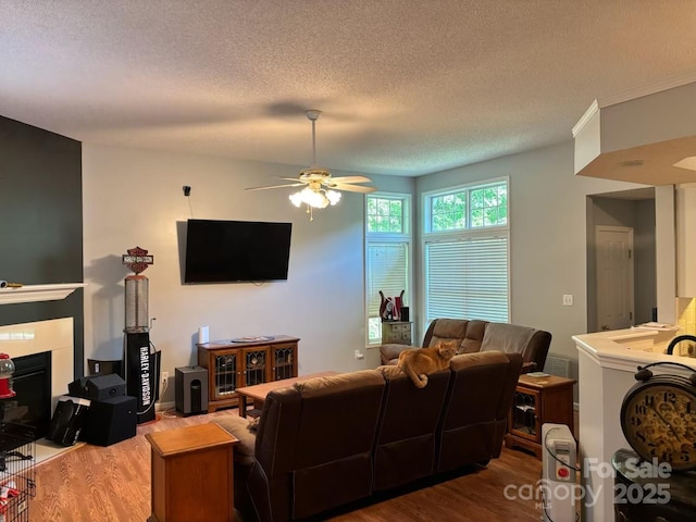 1920 Waldeck Ct, Mount Pleasant, NC 28124 - living room featuring wood finished floors, ceiling fan, a textured ceiling, and a fireplace