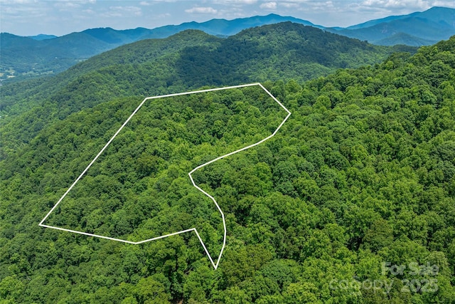 99999 Countryside Est, Barnardsville, NC 28709 - photo 1