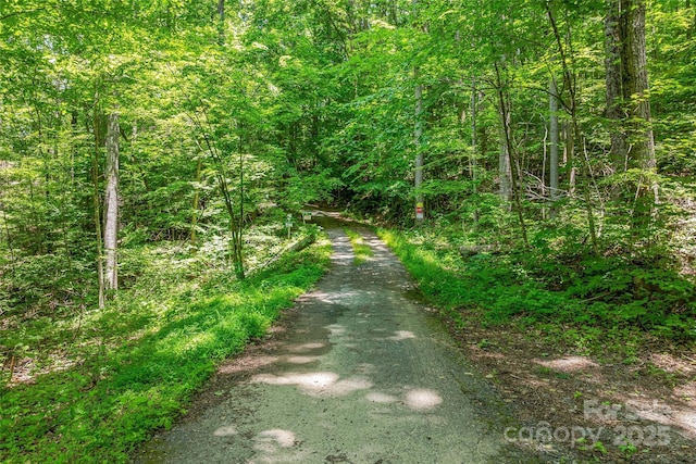 99999 Countryside Est, Barnardsville, NC 28709 - photo 2