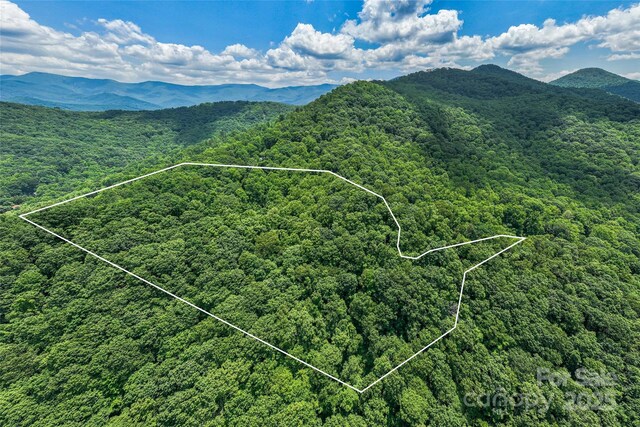 99999 Countryside Est, Barnardsville, NC 28709 - photo 4