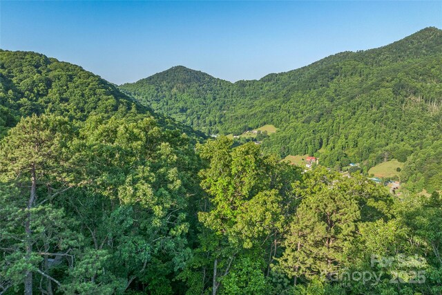 99999 Countryside Est, Barnardsville, NC 28709 - photo 5