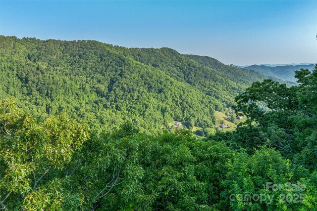 99999 Countryside Est, Barnardsville, NC 28709 - photo 6