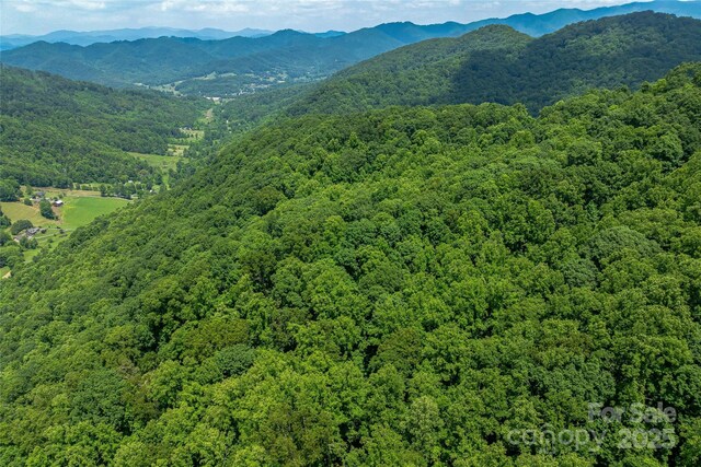 99999 Countryside Est, Barnardsville, NC 28709 - photo 7