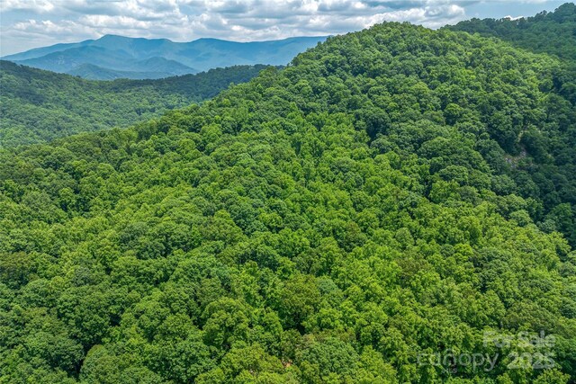 99999 Countryside Est, Barnardsville, NC 28709 - photo 8