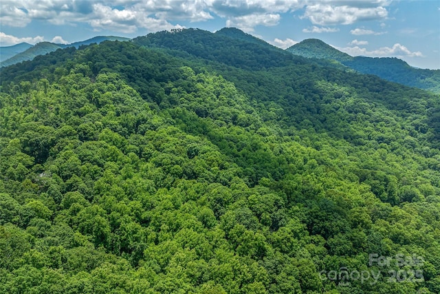 99999 Countryside Est, Barnardsville, NC 28709 - photo 9