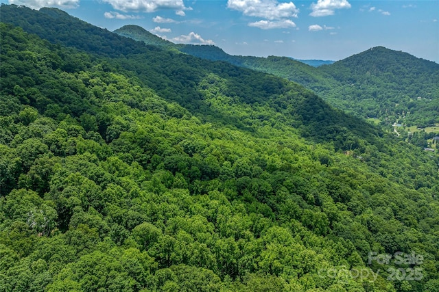 99999 Countryside Est, Barnardsville, NC 28709 - photo 10