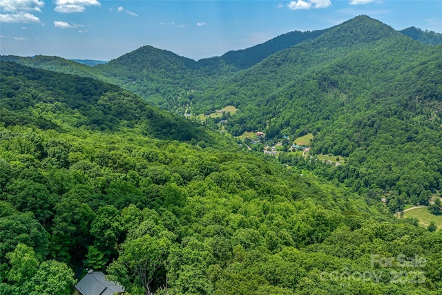 99999 Countryside Est, Barnardsville, NC 28709 - photo 11