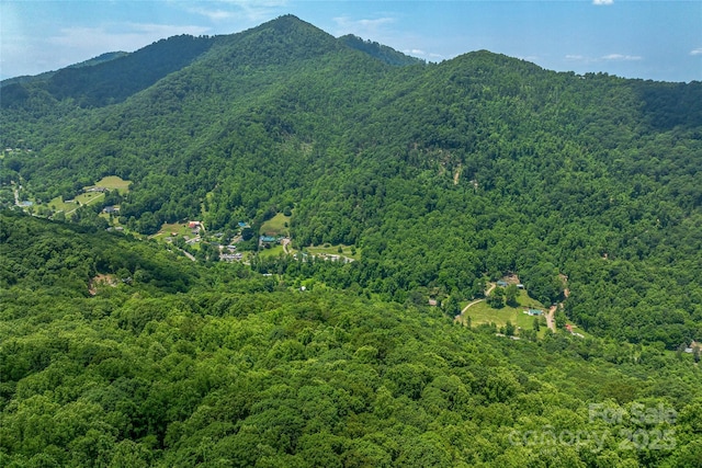 99999 Countryside Est, Barnardsville, NC 28709 - photo 12