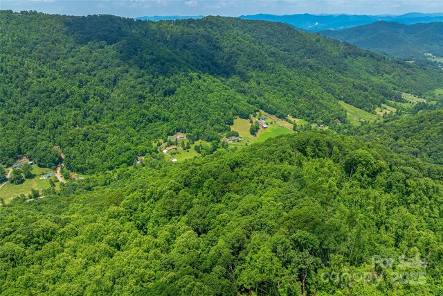99999 Countryside Est, Barnardsville, NC 28709 - photo 13