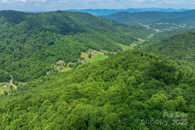 99999 Countryside Est, Barnardsville, NC 28709 - photo 14