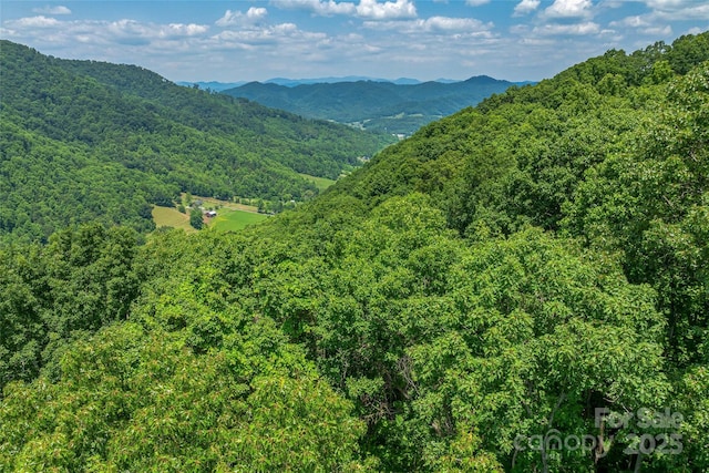 99999 Countryside Est, Barnardsville, NC 28709 - photo 15