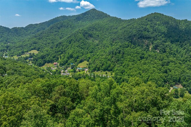 99999 Countryside Est, Barnardsville, NC 28709 - photo 16